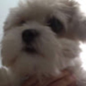 Meet your Posher, Zoe